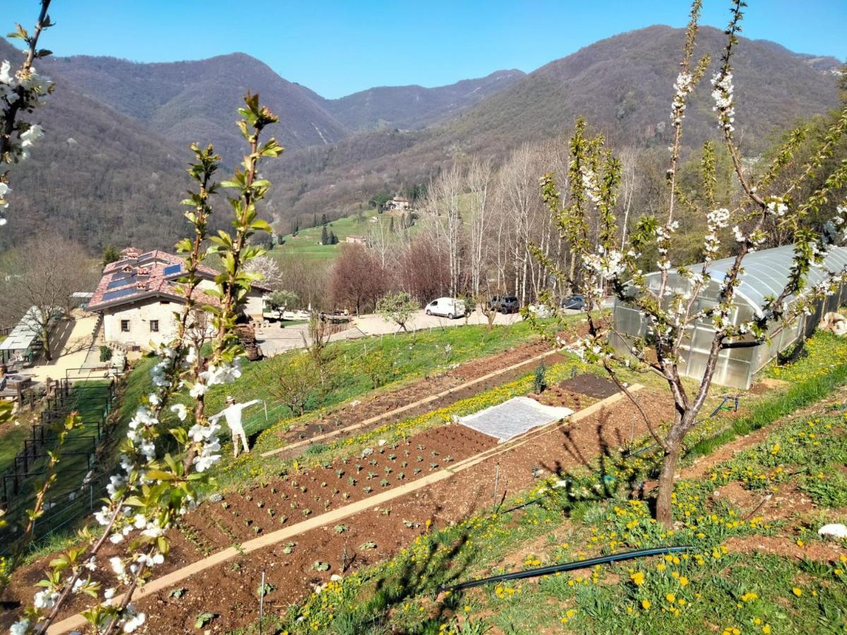 Agriturismo Ca' Fenile Alzano Lombardo Екстериор снимка