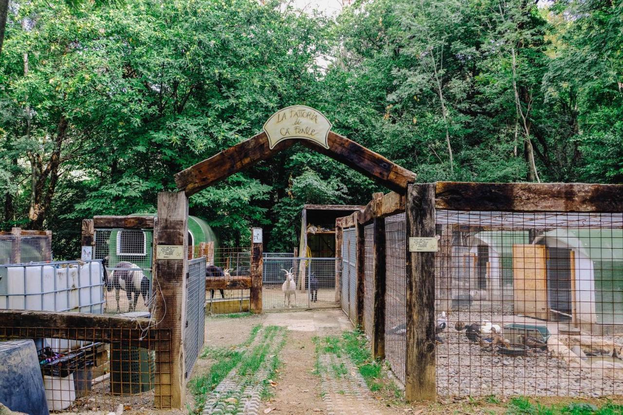 Agriturismo Ca' Fenile Alzano Lombardo Екстериор снимка