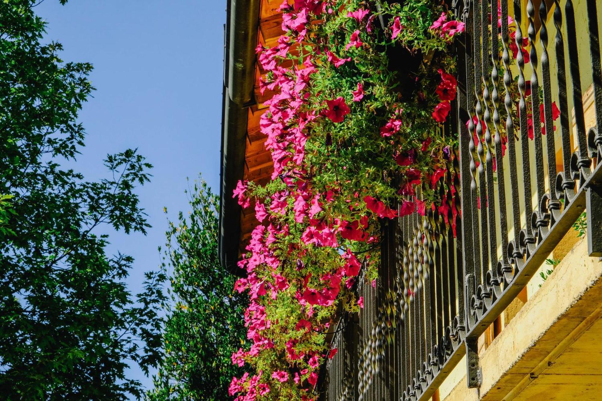Agriturismo Ca' Fenile Alzano Lombardo Екстериор снимка